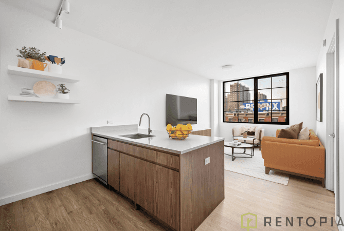 91 Bruckner Boulevard 703